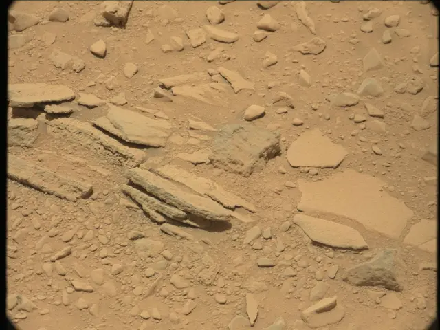 Sol 52: Mast Camera (Mastcam)