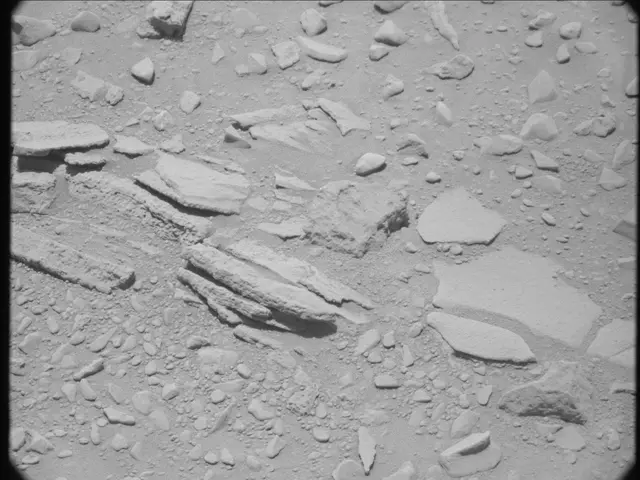 Sol 52: Mast Camera (Mastcam)