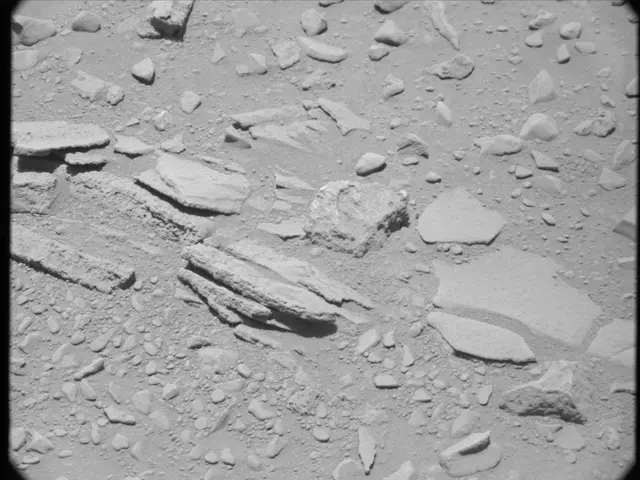 Sol 52: Mast Camera (Mastcam)