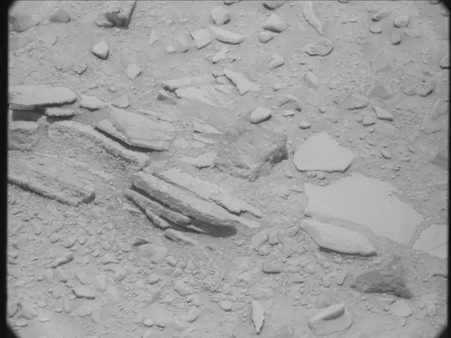 Sol 52: Mast Camera (Mastcam)