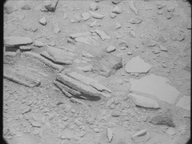 Sol 52: Mast Camera (Mastcam)