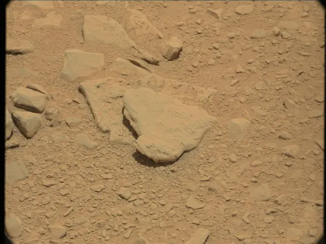 Sol 52: Mast Camera (Mastcam)
