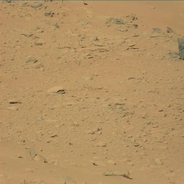 Sol 52: Mast Camera (Mastcam)