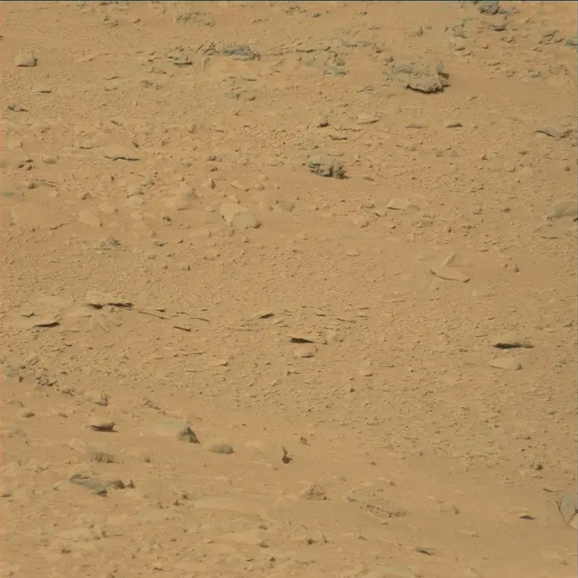 Sol 52: Mast Camera (Mastcam)