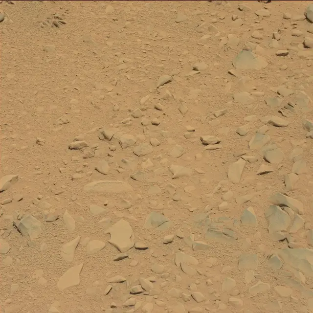 Sol 53: Mast Camera (Mastcam)