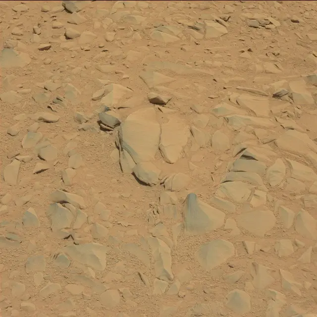 Sol 53: Mast Camera (Mastcam)