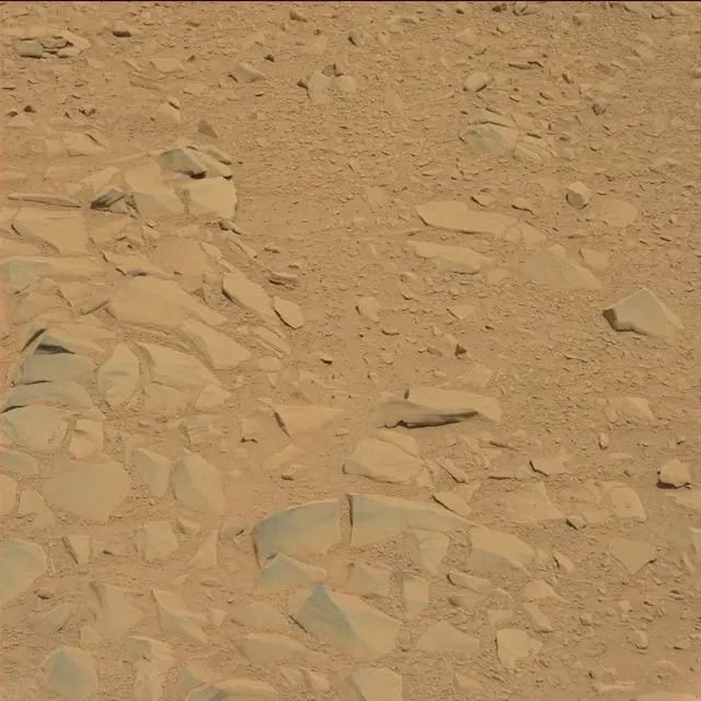 Sol 53: Mast Camera (Mastcam)
