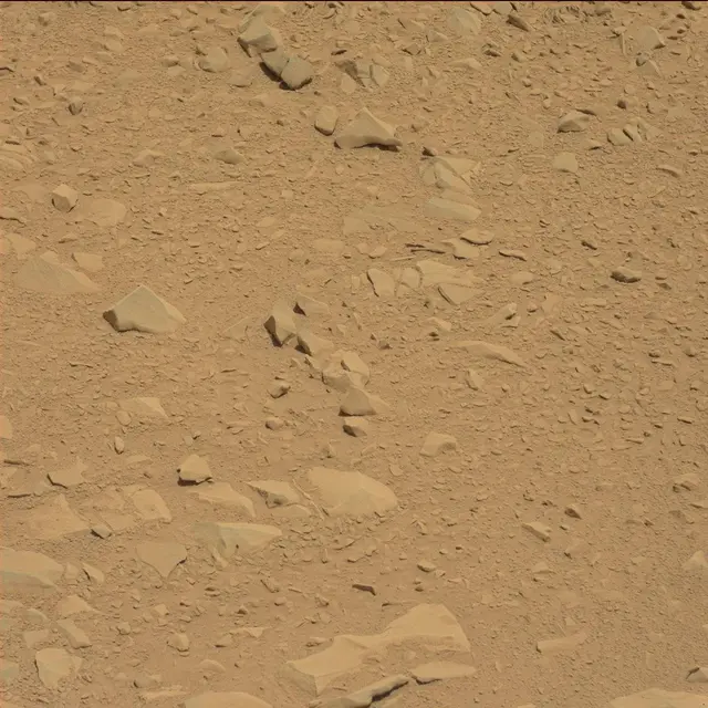 Sol 53: Mast Camera (Mastcam)