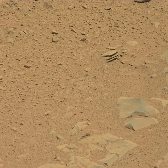 Sol 53: Mast Camera (Mastcam)