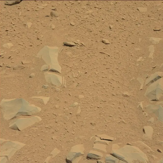 Sol 53: Mast Camera (Mastcam)