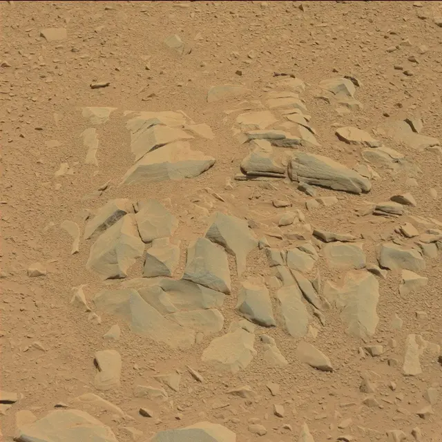 Sol 53: Mast Camera (Mastcam)