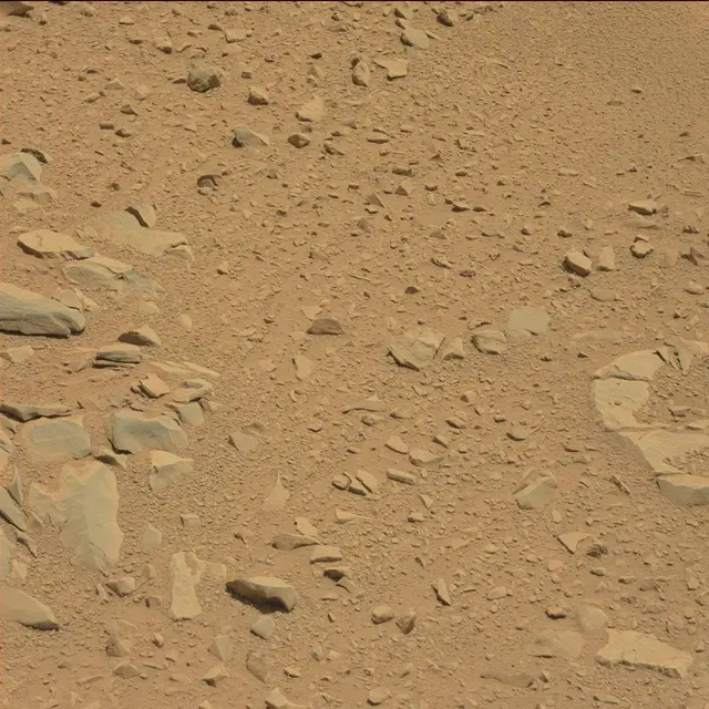 Sol 53: Mast Camera (Mastcam)