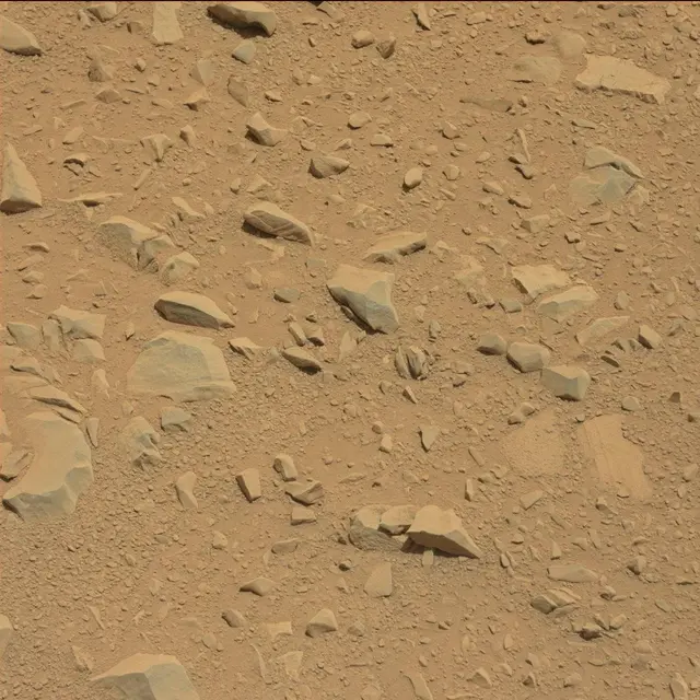 Sol 53: Mast Camera (Mastcam)