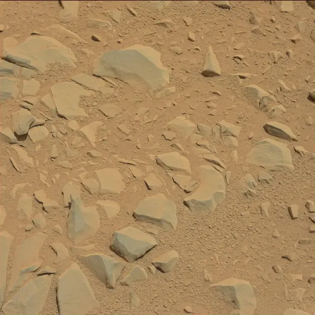Sol 53: Mast Camera (Mastcam)