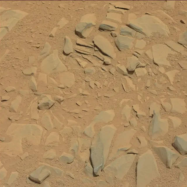 Sol 53: Mast Camera (Mastcam)