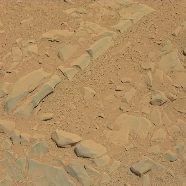 Sol 53: Mast Camera (Mastcam)