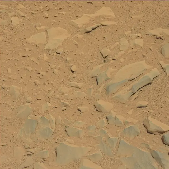 Sol 53: Mast Camera (Mastcam)