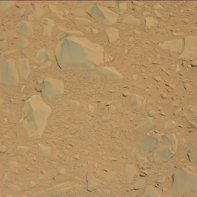 Sol 53: Mast Camera (Mastcam)