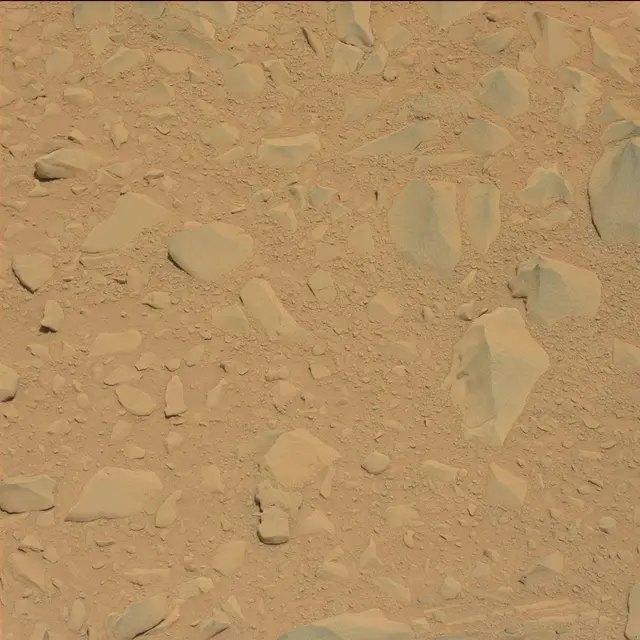 Sol 53: Mast Camera (Mastcam)