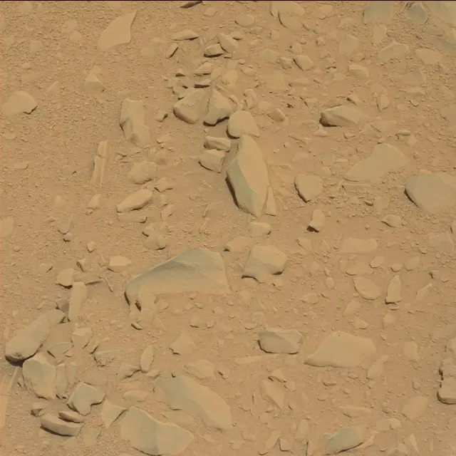 Sol 53: Mast Camera (Mastcam)