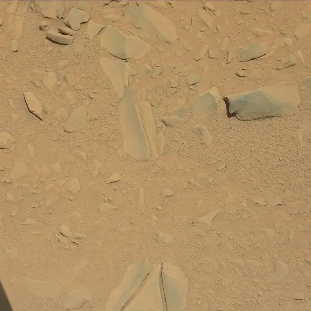 Sol 53: Mast Camera (Mastcam)