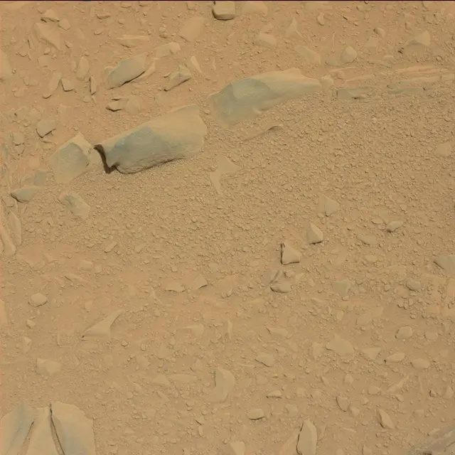 Sol 53: Mast Camera (Mastcam)
