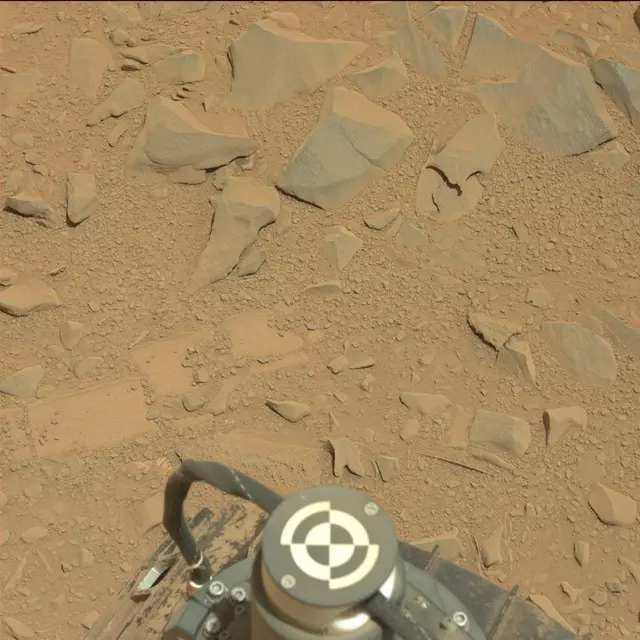 Sol 53: Mast Camera (Mastcam)