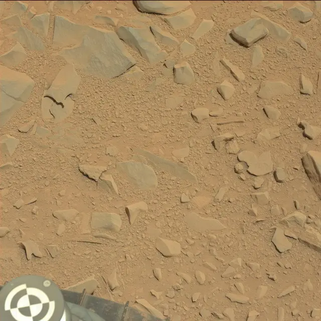 Sol 53: Mast Camera (Mastcam)