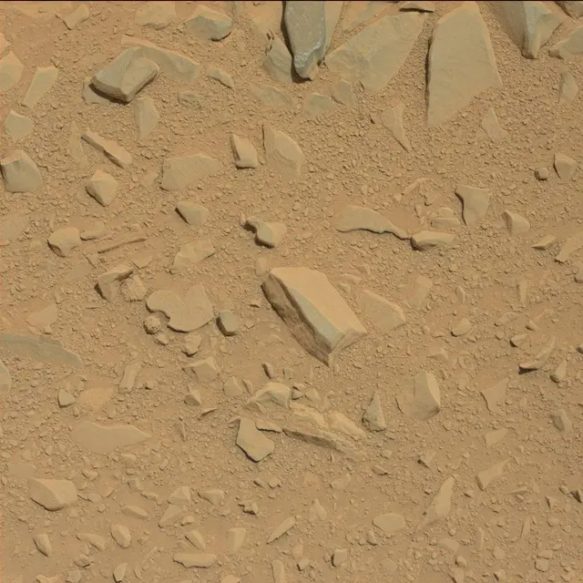 Sol 53: Mast Camera (Mastcam)