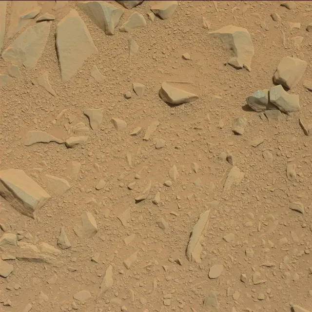 Sol 53: Mast Camera (Mastcam)