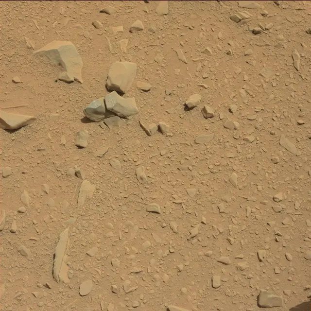 Sol 53: Mast Camera (Mastcam)