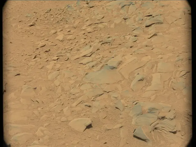 Sol 53: Mast Camera (Mastcam)