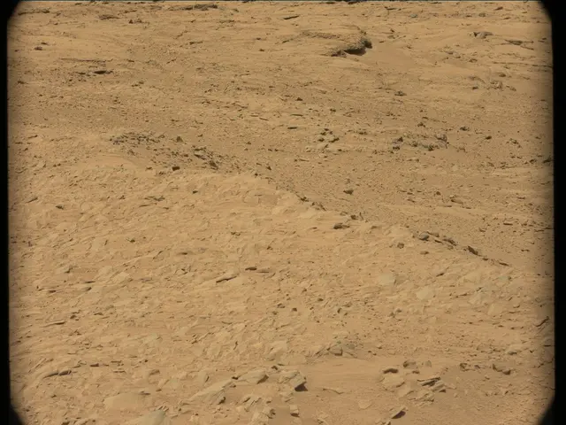 Sol 53: Mast Camera (Mastcam)