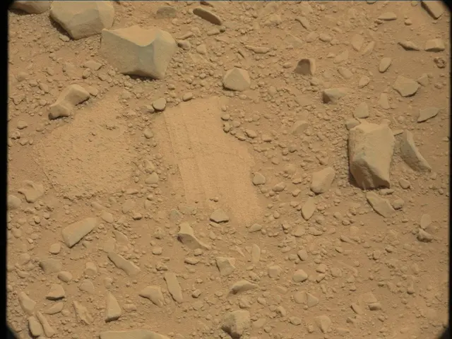 Sol 53: Mast Camera (Mastcam)