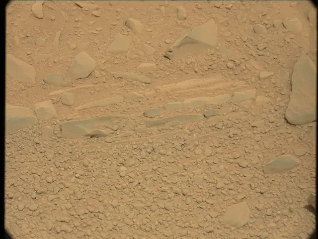 Sol 53: Mast Camera (Mastcam)