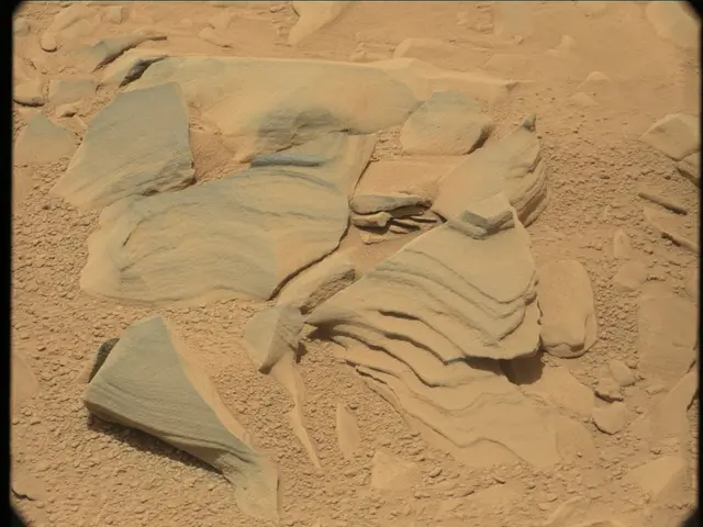 Sol 53: Mast Camera (Mastcam)