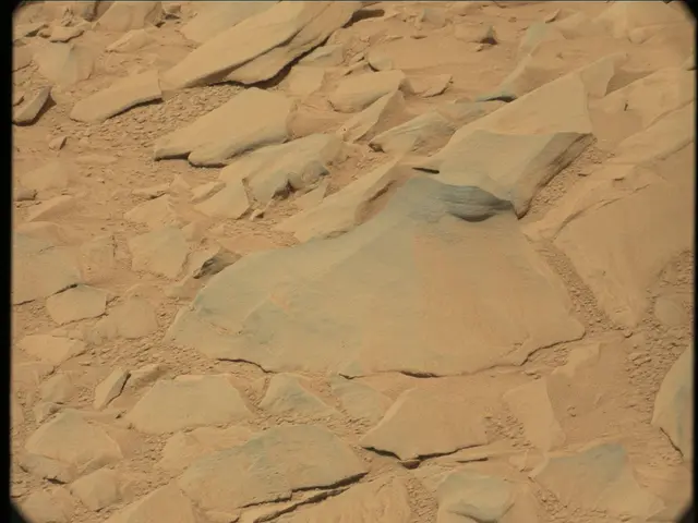 Sol 53: Mast Camera (Mastcam)