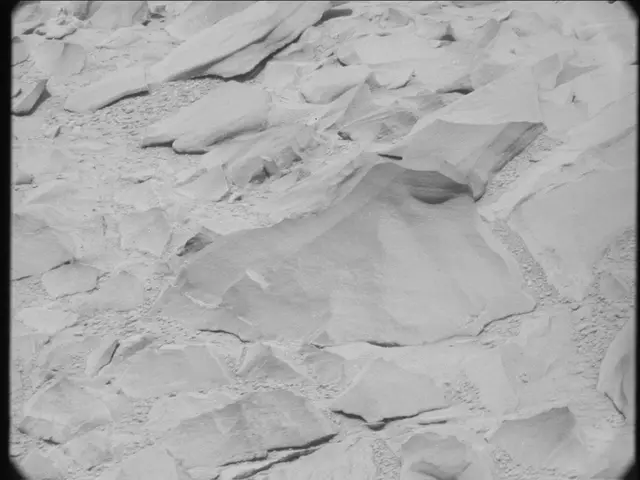 Sol 53: Mast Camera (Mastcam)