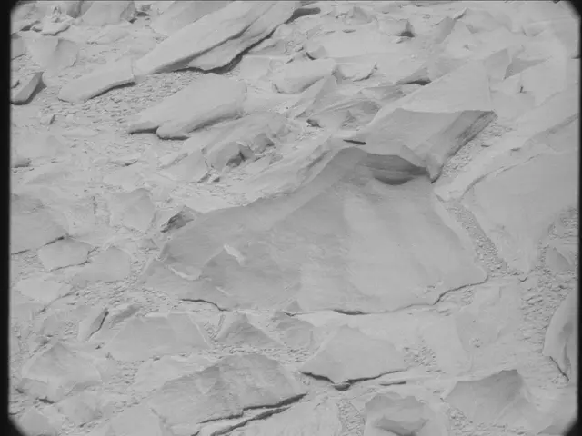 Sol 53: Mast Camera (Mastcam)