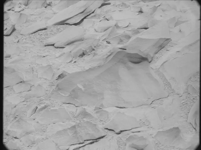 Sol 53: Mast Camera (Mastcam)