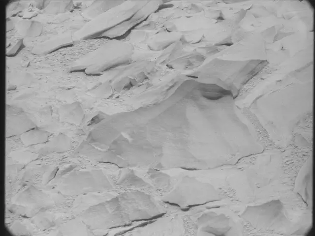Sol 53: Mast Camera (Mastcam)