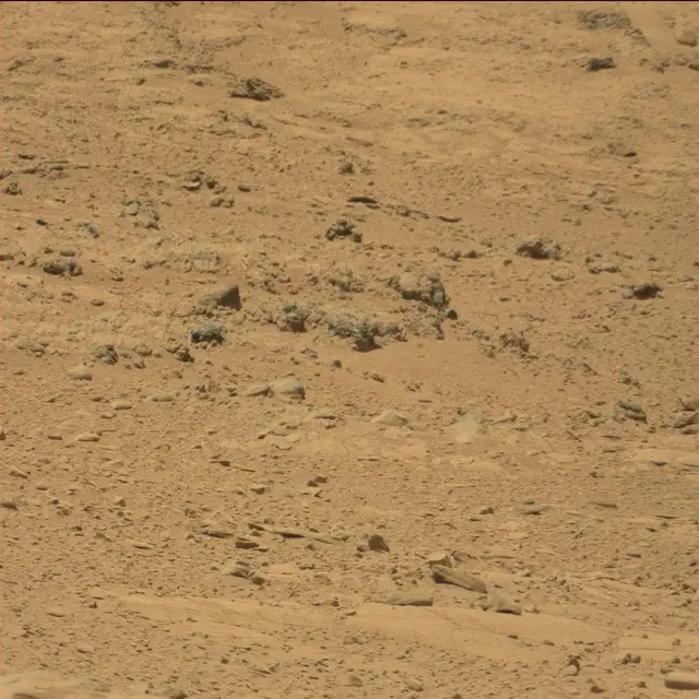 Sol 53: Mast Camera (Mastcam)