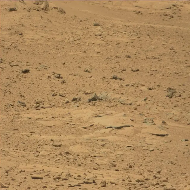 Sol 53: Mast Camera (Mastcam)