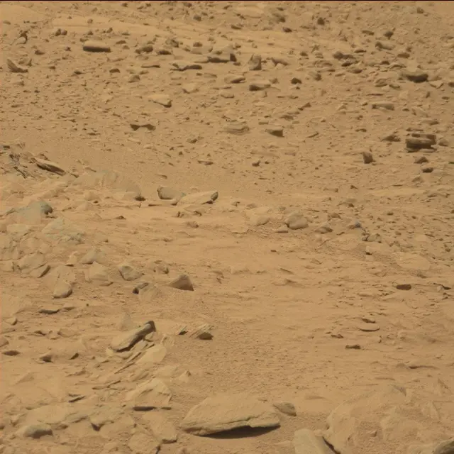 Sol 53: Mast Camera (Mastcam)