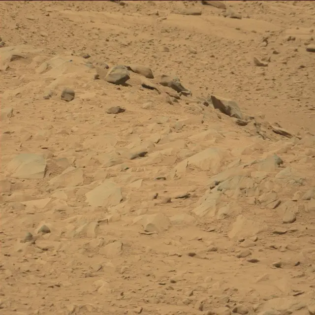 Sol 53: Mast Camera (Mastcam)
