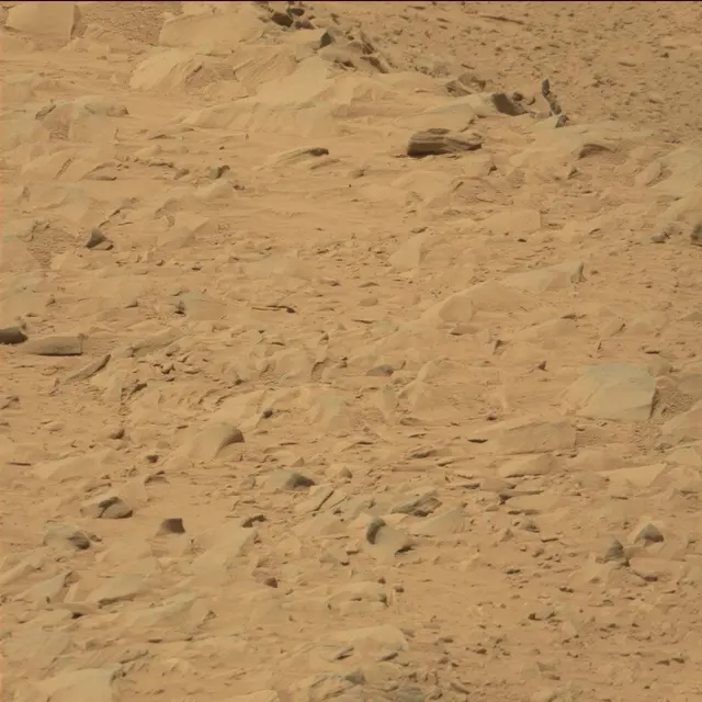 Sol 53: Mast Camera (Mastcam)