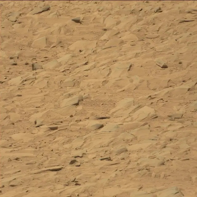 Sol 53: Mast Camera (Mastcam)