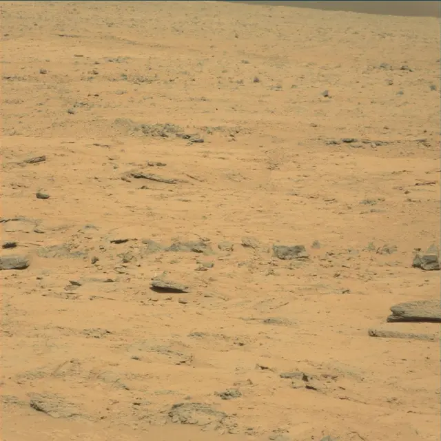 Sol 53: Mast Camera (Mastcam)