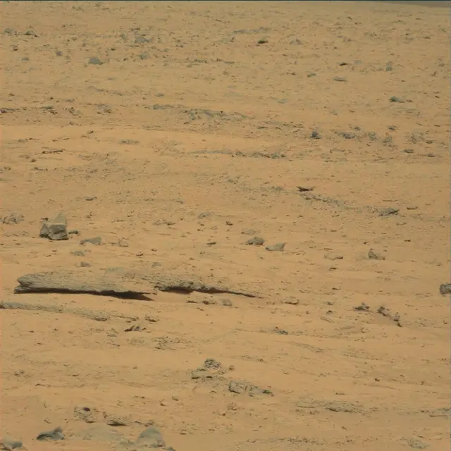 Sol 53: Mast Camera (Mastcam)
