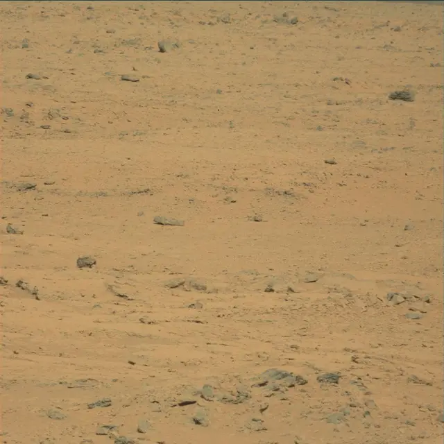 Sol 53: Mast Camera (Mastcam)